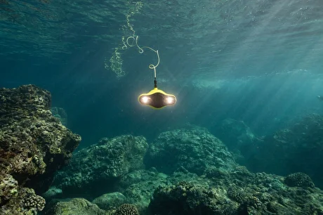 QIP Shot - Screen 241.png