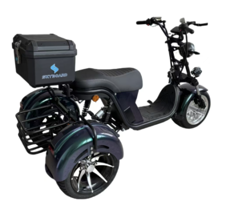 Электроскутер Skyboard MyRussia BR60 3000W