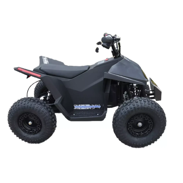 Электроквадроцикл Skyboard CyberTruck Sochi Kids 800W (цепной привод)