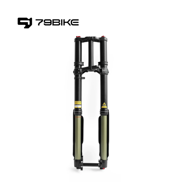 Передняя вилка FORK 79Bike