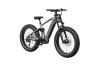 Электровелосипед MOKWHEEL ONYX серый