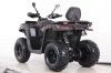 Бензиновый квадроцикл MOTAX GRIZLIK T250 BASIC красный