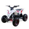 Детский электроснегоход + квадроцикл Gekkon Snow MAX 2в1