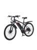 Электровелосипед Jetson TRIUMPH 350W 36V/13Ah