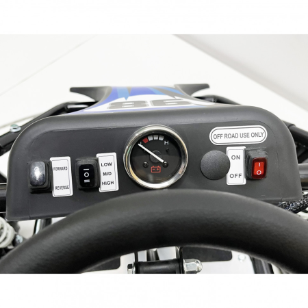 Багги GreenCamel Намиб T006 (48V20Ah 1000W R6 Цепь)