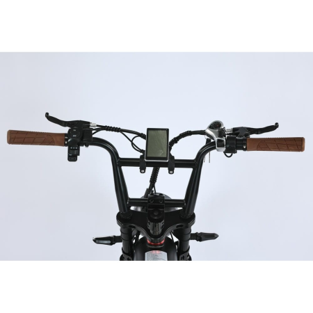 Электровелосипед Smart Balance DIPLOMAT