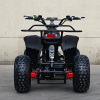 Электроквадроцикл ECO MINI X3 36V50AH
