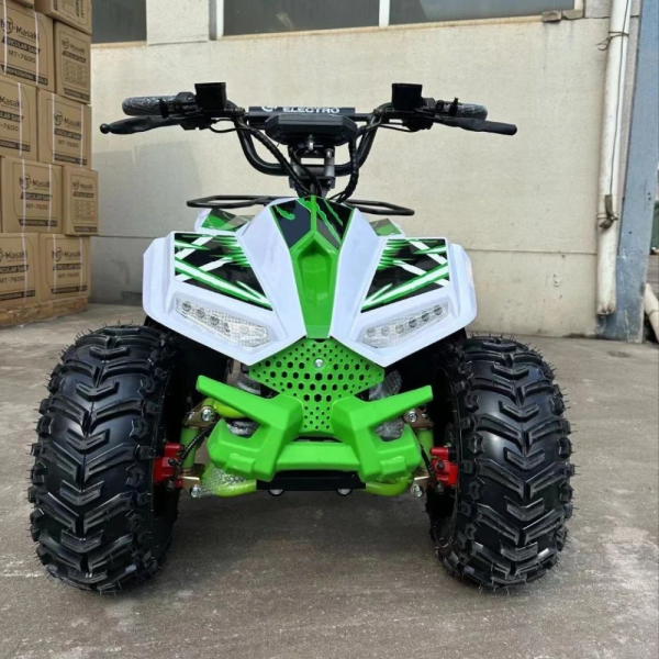 Электроквадроцикл ECO Lizard 48V32AH