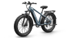 Электровелосипед PUCKIPUPPI BEAGLE серый